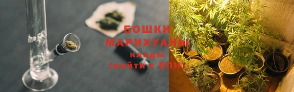 мдпв Горно-Алтайск