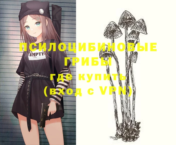 тгк Горняк