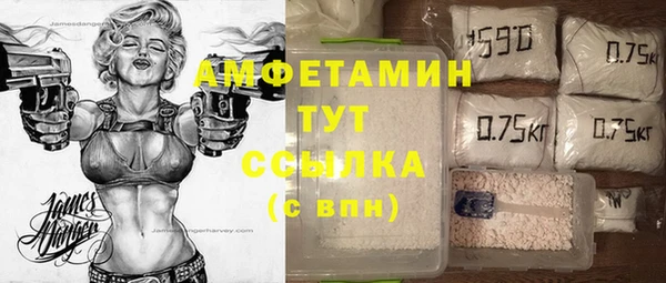 мдпв Горно-Алтайск