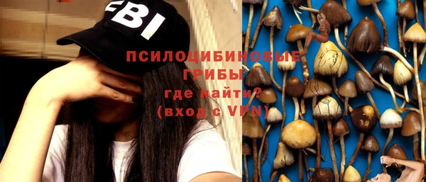 мдпв Горно-Алтайск