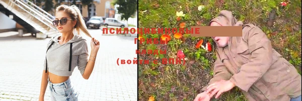 тгк Горняк
