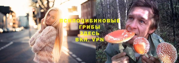 тгк Горняк