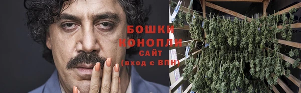 тгк Горняк